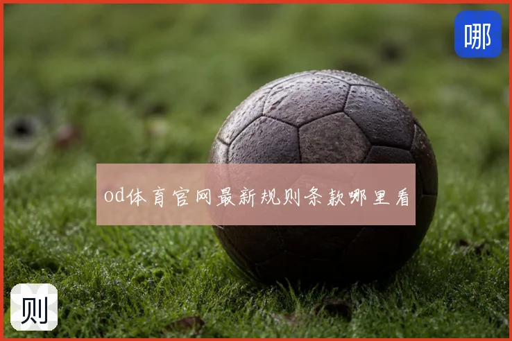 od体育官网最新规则条款哪里看