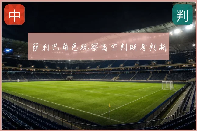 萨利巴角色观察高空判断考判断