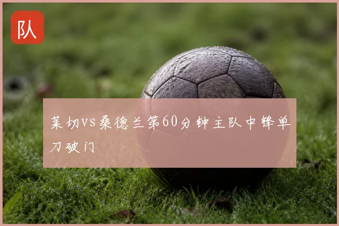 莱切vs桑德兰第60分钟主队中锋单刀破门