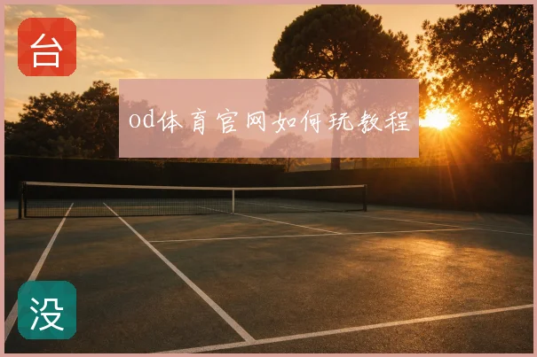 od体育官网如何玩教程