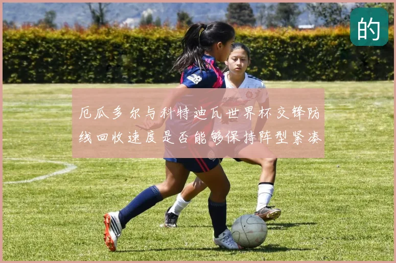 厄瓜多尔与科特迪瓦世界杯交锋防线回收速度是否能够保持阵型紧凑